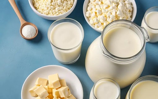 乳制品